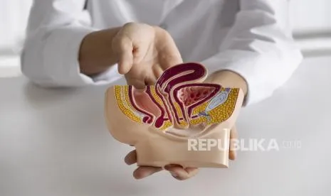 Saatnya Pria Ikut Ber-KB, Dokter Umum Kini Dilatih Lakukan Vasektomi