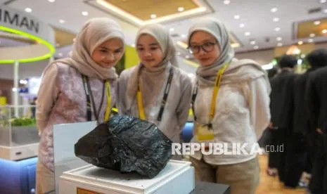 Korsel Siap Pensiunkan PLTU, Ini Dampaknya bagi Industri Batu Bara RI