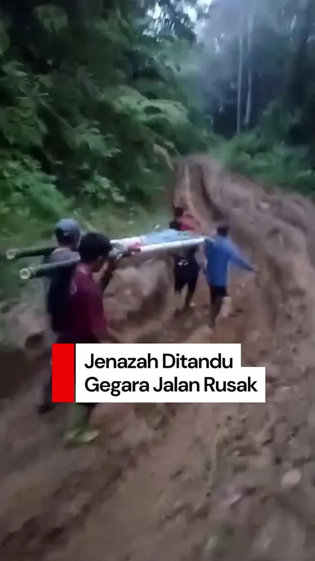 Video: Jenazah di Mamuju Ditandu 18 Km gegara Jalan Rusak-Tak Ada Jembatan